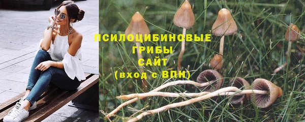 2c-b Армянск